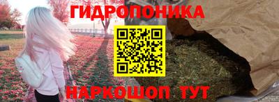 гашик Краснознаменск