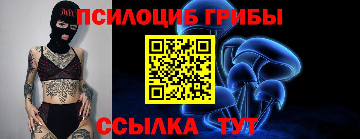Псилоцибиновые грибы мицелий  Вход с VPN  Кубинка 